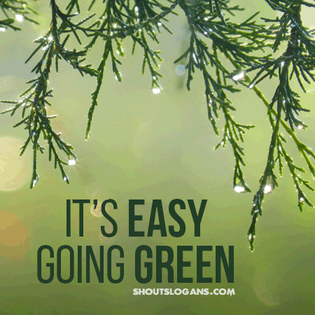 easy-going-green-poster