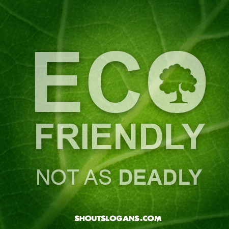 eco-friendly-picture