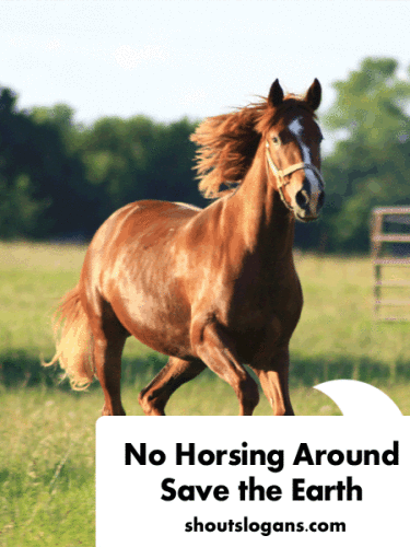 no-horsing-around-save-earth-slogans