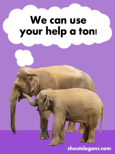 save-elephants-slogans-poster