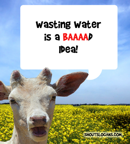 Wasting water is a bad idea.