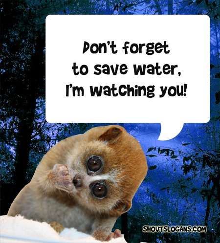 Don't forget to save water, I'm watching you.