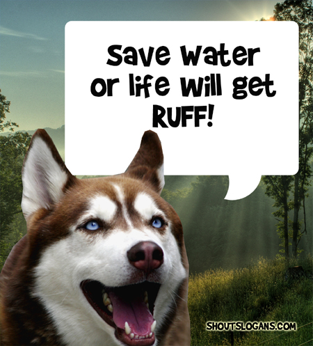 Save water or life will get rough!
