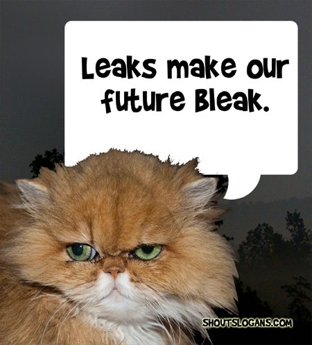 For a better future, fix your leaks!