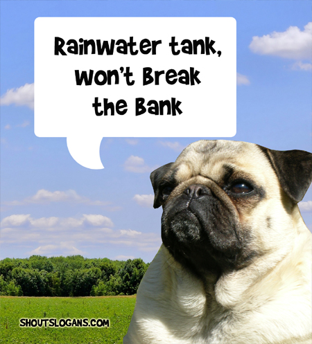 Use a rainwater tank.