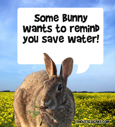 Some Bunny wants to remind you to Save Water!