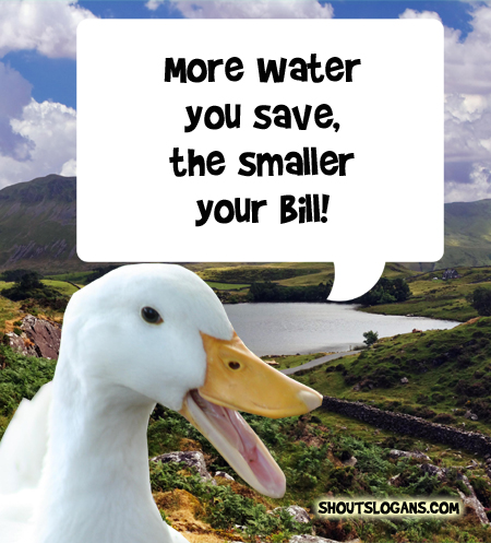 Save water, Save money.