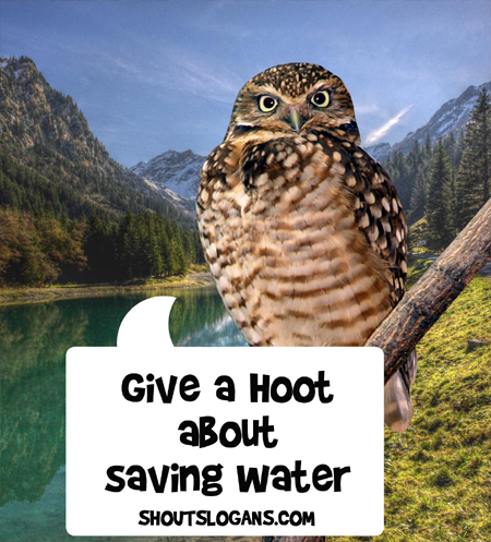 Show you care, help save water!