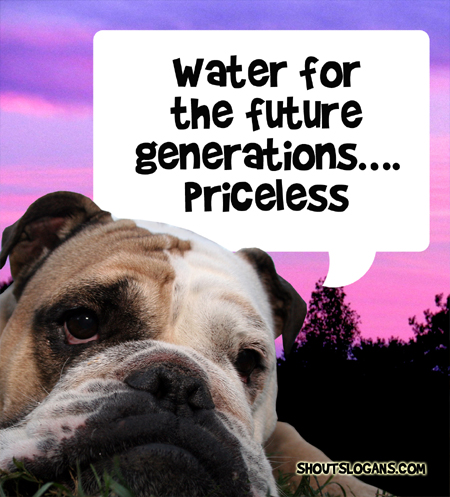 Water for future generations...priceless