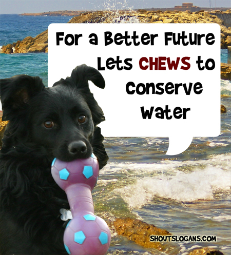 For a better future, conserve water today.