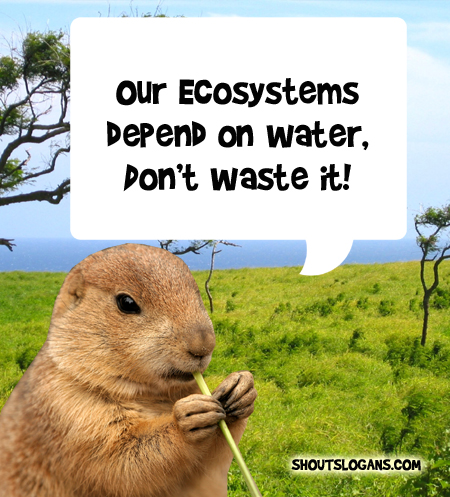 Our Ecosystems depend on water, don't waste it.