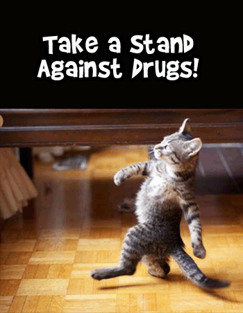 boss-cat-meme-anti-drugs