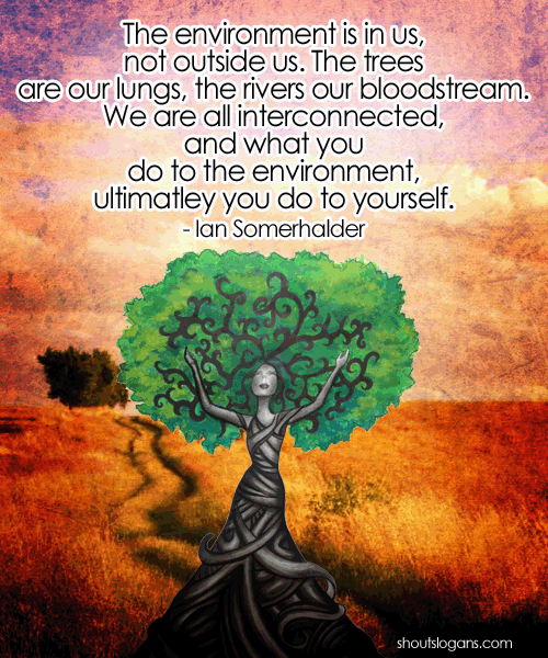 environmental-quote