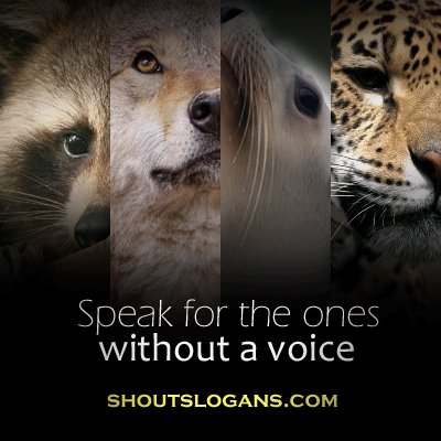 wildlife conservation slogans and sayings