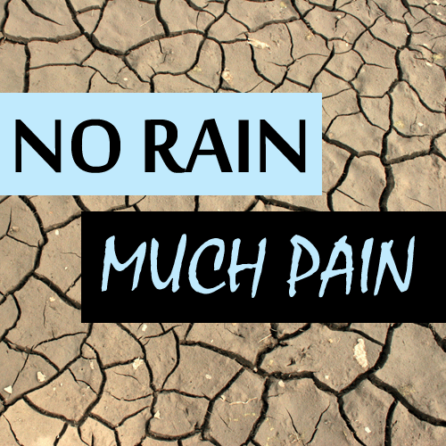drought slogans and sayings