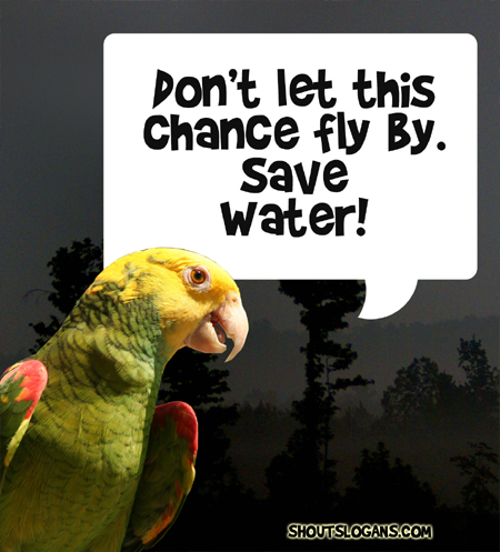 Don't let this chance fly by, Save Water!