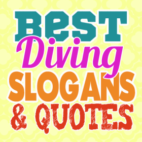 Sports Slogans
