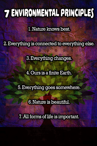 7-environmental-principals
